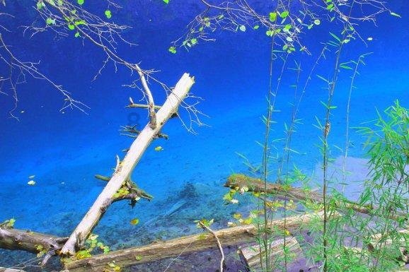 幽浮飞碟
